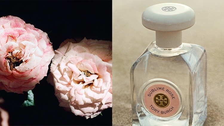 Essence of Dreams: Designer Perfumes for Women | Tory Burch
