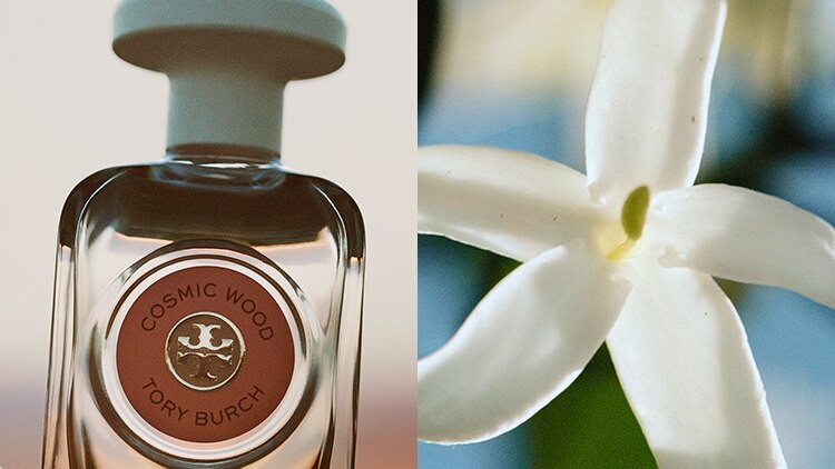 TORY BURCH香水 71cdeRclx+L.jpg_BO30,255,255,