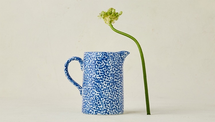 Spongeware Pitcher