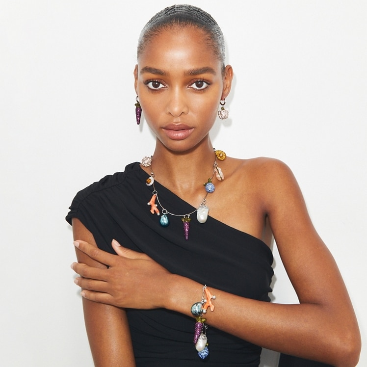 Shop the curiocity collection