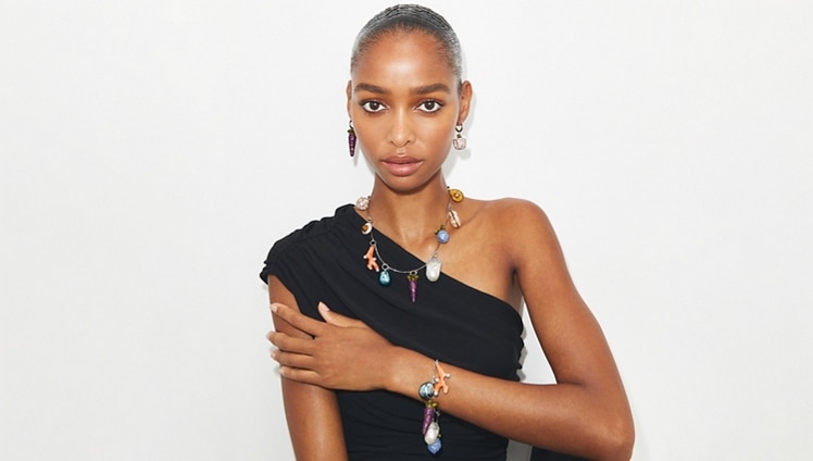 Shop the curiocity collection