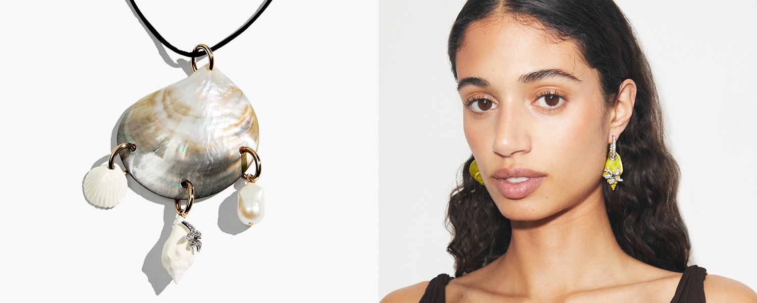 Curiosity Collection