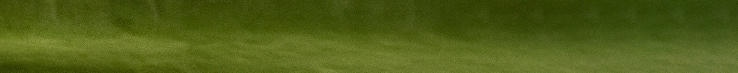 Kira Metallic Moto Quilt Card Case