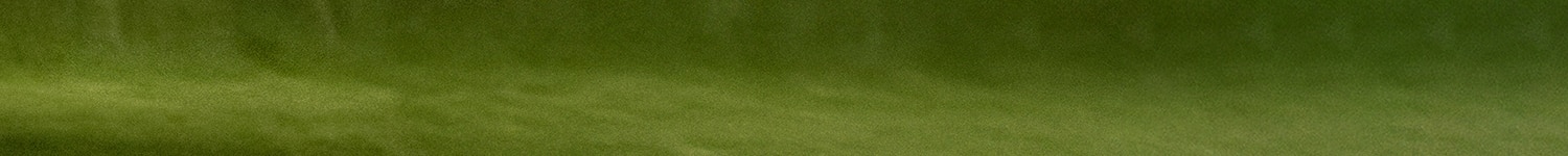 Patos Mismatched Slingback Heel