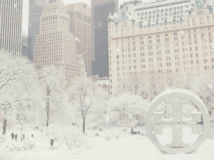 TORY BURCH MOLDOVAコート Mサイズ $_57.JPG?set_id=880000500F