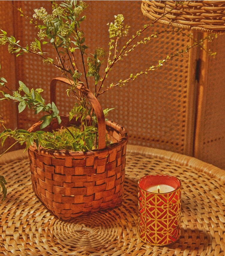 Tory Burch designer candles 797 Madison Candle in Multi editorial