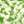 Green/Sponge