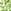 Green/Sponge
