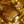 Rolled Gold / Green