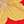 Floral Compass Red