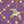 Purple/Mustard