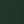 Conifer