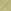 Olive Sprig