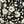 Black Tonal Ditsy