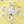 Light Silver / Yellow