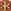 Tory Gold / Matchstick Red