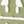 Tory Silver / Green