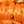 Tory Gold / Red / Orange