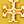 Tory Gold / Freesia Yellow