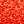 Piper Red