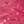 GOLD / Pink