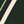 Conifer