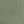 Green Fern