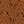 Cinnamon Sugar / NEW IVORY