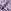 DARK LILAC