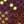 Dot Stamped T Monogram Burgundy