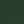 Conifer