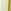 Tory Gold / New Ivory