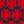 Maraschino Red / Medium Navy