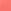 Coral Crush