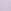 Purple Heather