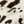 COW PRINT / COCO