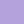 Purple Thistle