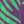 Purple Zebra Scarf