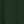 Conifer