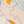 Aeronauts Silk Square - Pink