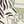 Ivory Zebra
