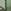 TRANSPARENT SAGE/ LIGHT GREY GRADIENT