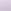Purple Heather