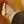 TORY HORN/DARK BROWN