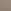 Gray Heron