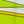 Chartreuse Twisty Flower