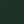 Conifer