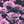 Pink Pixel Floral