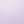 Purple Heather