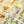 YELLOW MULTI / LOUTRE GRAY